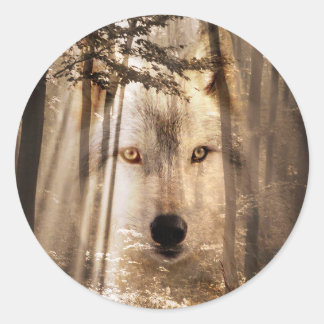 Wolf im Wald gegenüber Runder Aufkleber