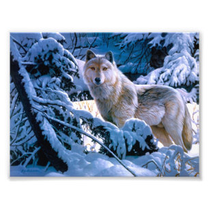 Wolf im Winter Waldmalerei Fotodruck
