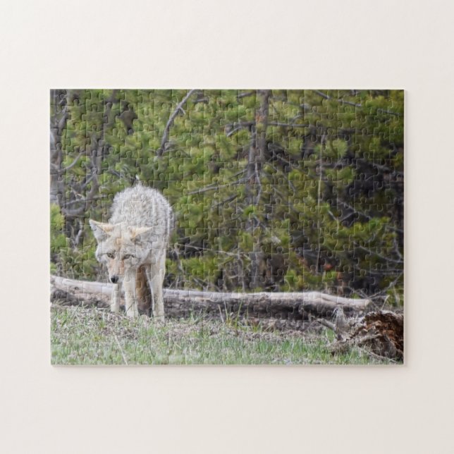 Wolf im Yellowstone-Puzzle (Horizontal)