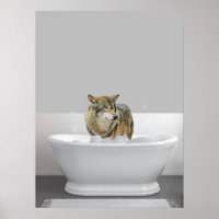Wolf in der Badewanne Bubble bath