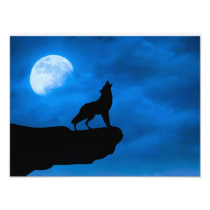 Wolf in der Nacht Fotodruck