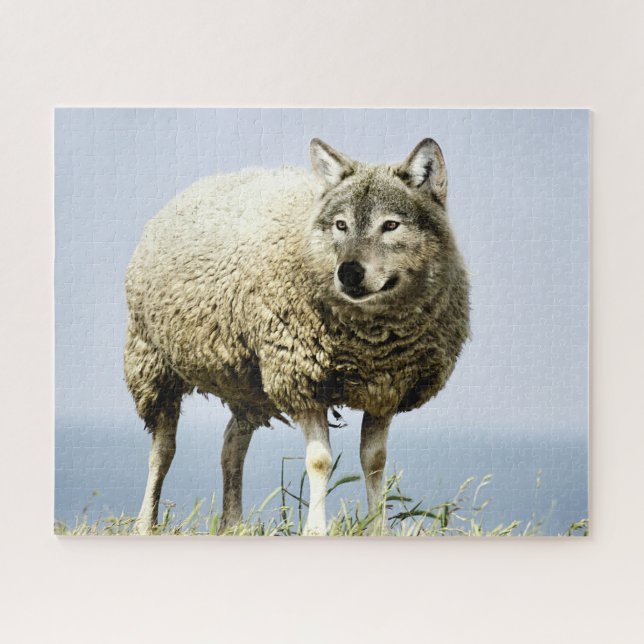Wolf in Schafbekleidung (Horizontal)