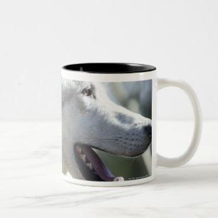 Wolf in Yellowstone. Zweifarbige Tasse