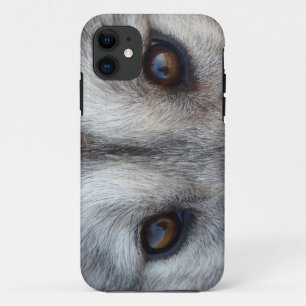 Wolf iPhone 5 Case Wolf Pup Eyes Fall Wolf Geschen