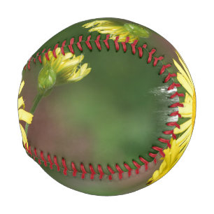 Wolf ist blind baseball