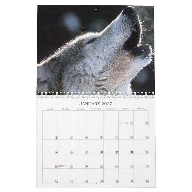 Wolf-Kalender Kalender (Jan 2027)