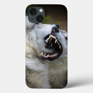 Wolf-Kampf title_seo2