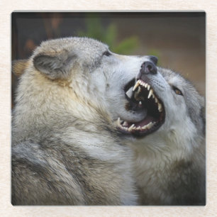 Wolf-Kampf Glasuntersetzer