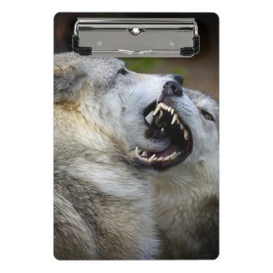 Wolf-Kampf Mini Klemmbrett