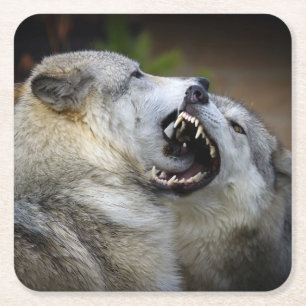 Wolf-Kampf Rechteckiger Pappuntersetzer