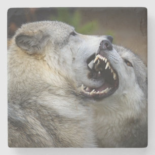 Wolf-Kampf Steinuntersetzer