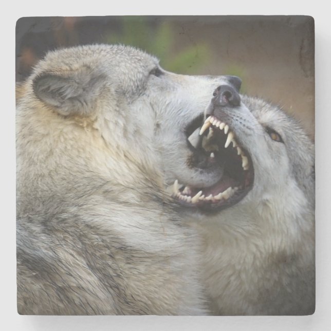 Wolf-Kampf Steinuntersetzer (Vorderseite)