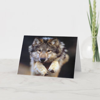 Wolf Karte