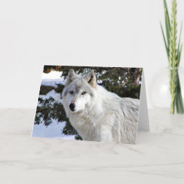 Wolf Karte