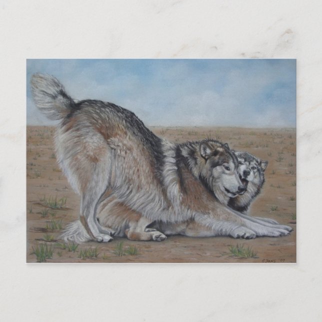 Wolf landschaftliche Wildtiere Realistische Tierku Postkarte (Vorderseite)