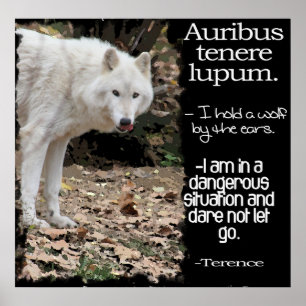 WOLF-LATEINISCHER ZITAT TERRENCE POSTER