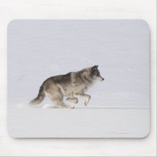 Wolf läuft im Schnee 2 Mousepad