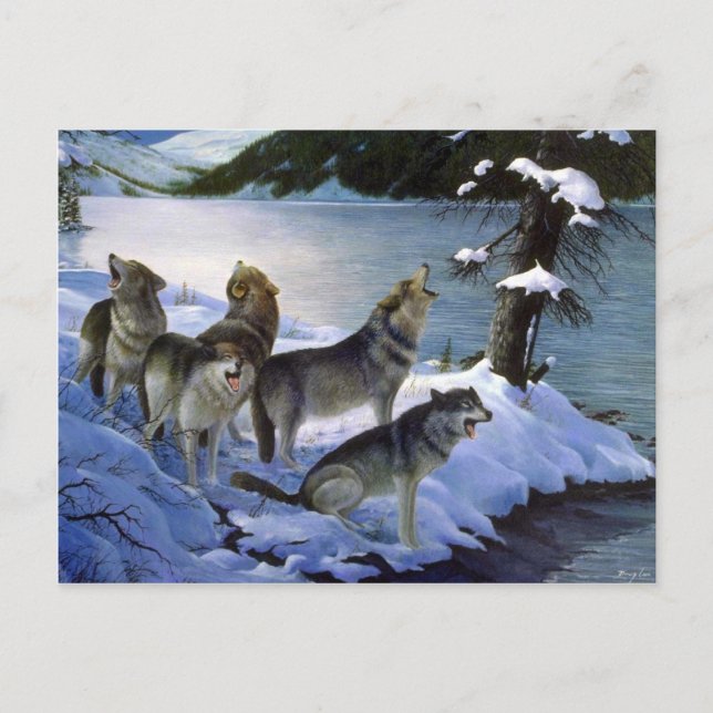 Wolf-Lied, Wolves Postkarte (Vorderseite)