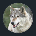 Wolf Magnet<br><div class="desc">Holzwolf-Foto-Magnet</div>