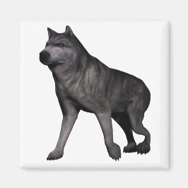 Wolf Magnet