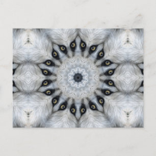 Wolf Mandala Fierce Eyes and Furry Symmetry Postkarte