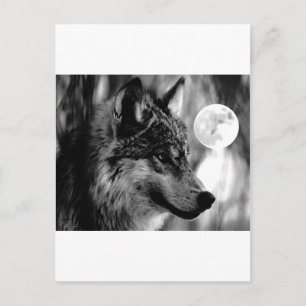 Wolf & Mond Postkarte