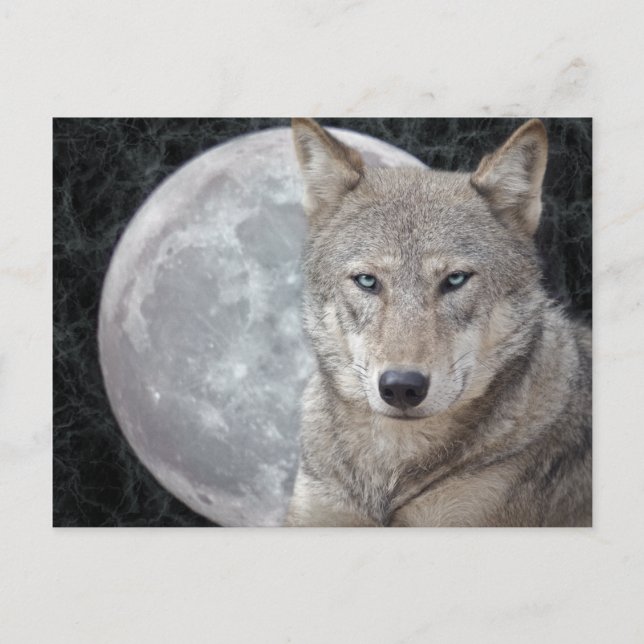 Wolf Moon Postcard Postkarte (Vorderseite)