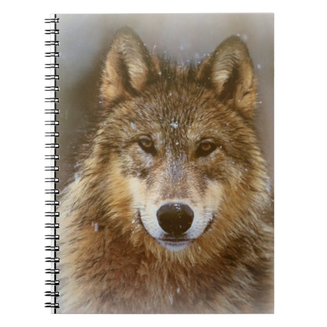 Wolf Notizblock (Vorderseite)