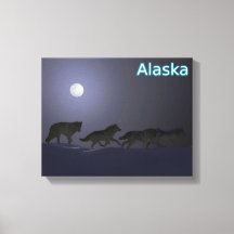 Wolf Pack - Alaska