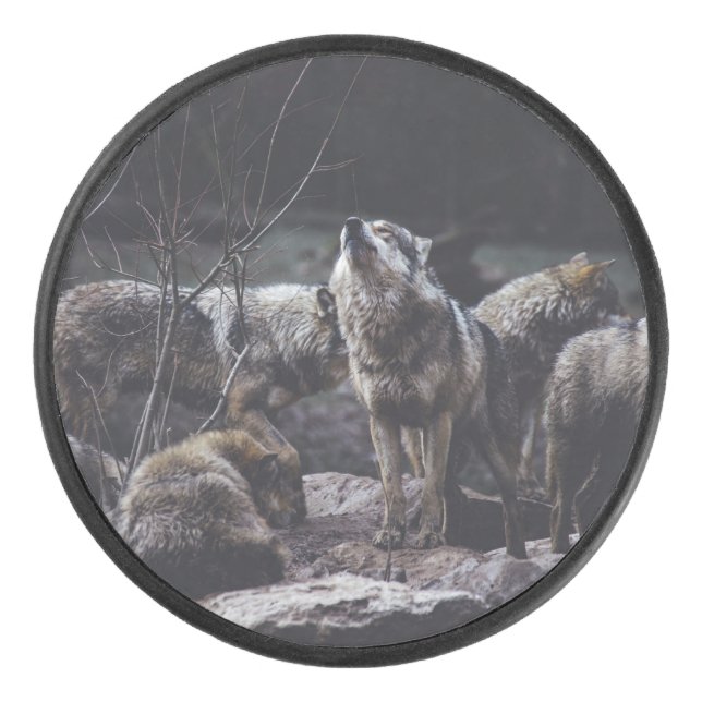 Wolf Pack Eishockey Puck (Vorderseite)