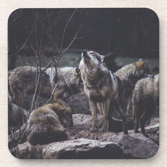Wolf Pack-Getränke-Coaster Getränkeuntersetzer (Vorderseite)