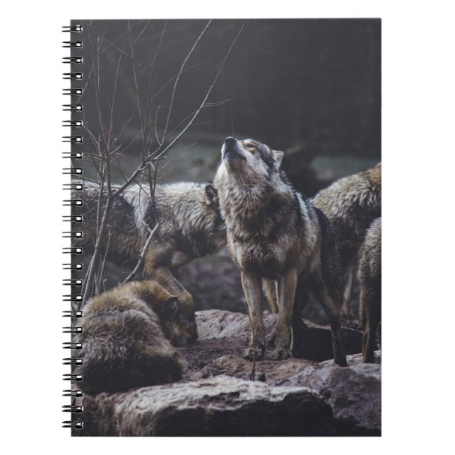 Wolf Pack-Notebook Notizblock (Vorderseite)