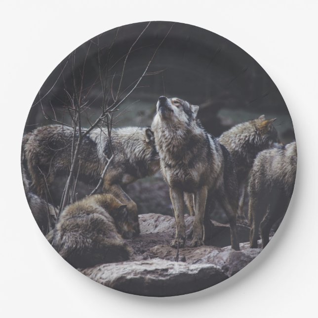 Wolf Pack Pappteller (Vorderseite)