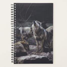 Wolf Pack Planer