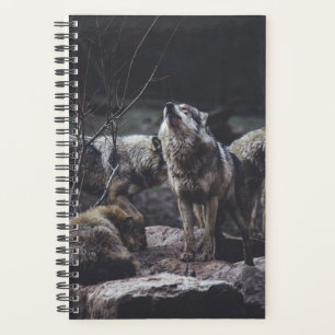 Wolf Pack Planer