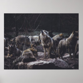 Wolf Pack Poster