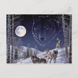 Wolf Pack Postkarte