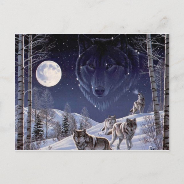 Wolf Pack Postkarte (Vorderseite)