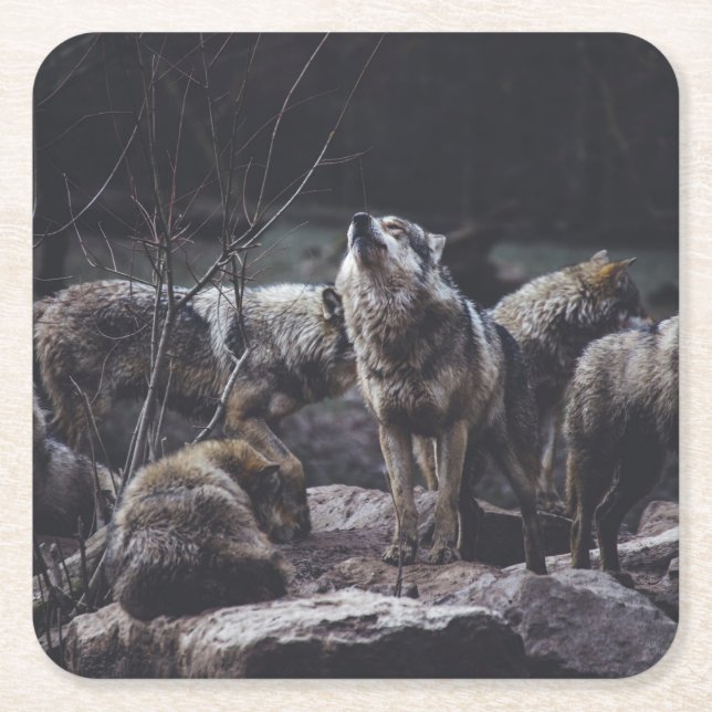 Wolf Pack Rechteckiger Pappuntersetzer (Vorderseite)