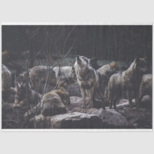 Wolf Pack Seidenpapier