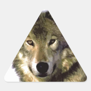 Wolf Portrait Dreieckiger Aufkleber