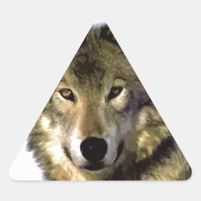Wolf Portrait Dreieckiger Aufkleber (Vorderseite)