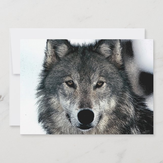 Wolf Portrait Einladung (Vorderseite)