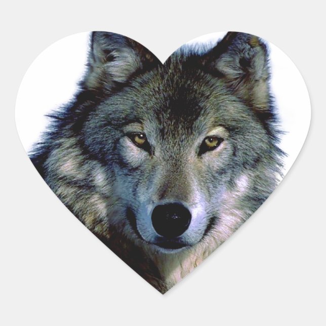 Wolf Portrait Herz-Aufkleber (Vorderseite)