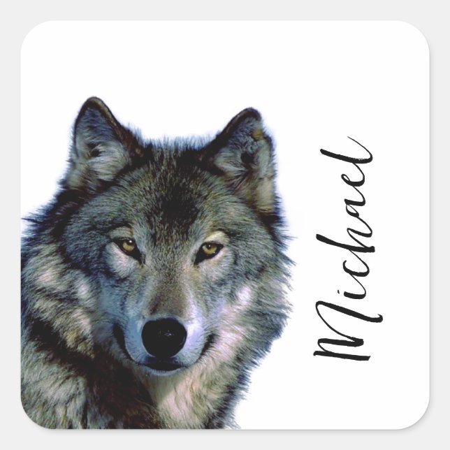 Wolf portrait Ihren Namen benutzerdefinierte Hands Quadratischer Aufkleber (Vorderseite)