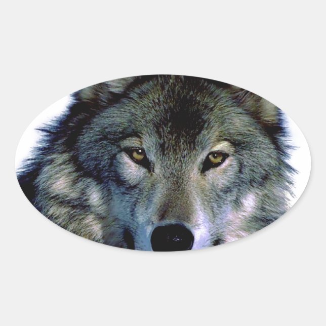 Wolf Portrait Ovaler Aufkleber (Vorderseite)
