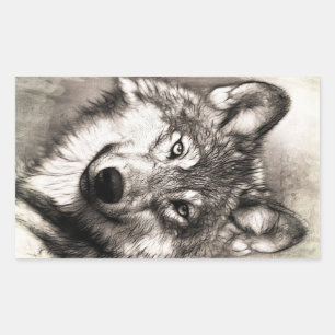 Wolf-Portrait Rechteckiger Aufkleber