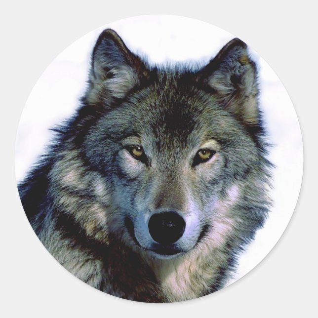 Wolf Portrait Runder Aufkleber (Vorderseite)
