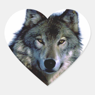 Wolf-Porträt Herz-Aufkleber