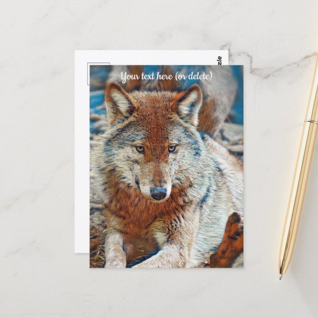 Wolf Postcard Postkarte (Vorderseite/Rückseite Beispiel)